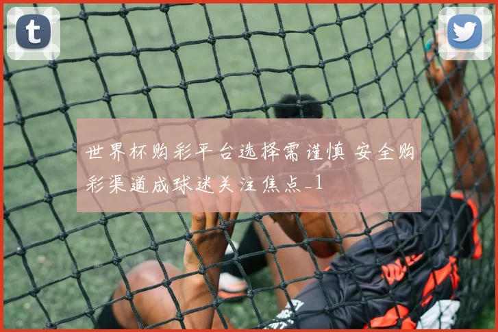世界杯购彩平台选择需谨慎 安全购彩渠道成球迷关注焦点_1