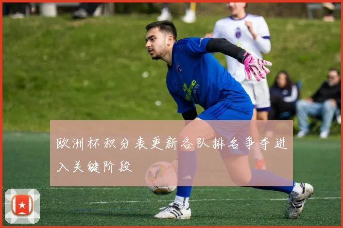 欧洲杯积分表更新各队排名争夺进入关键阶段