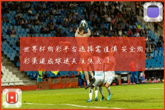 世界杯购彩平台选择需谨慎 安全购彩渠道成球迷关注焦点_1