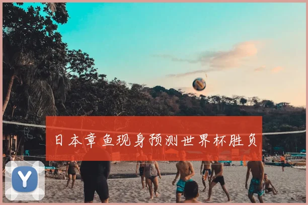 日本章鱼现身预测世界杯胜负