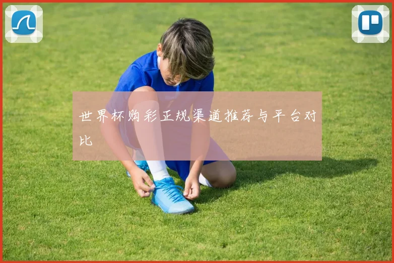 世界杯购彩正规渠道推荐与平台对比