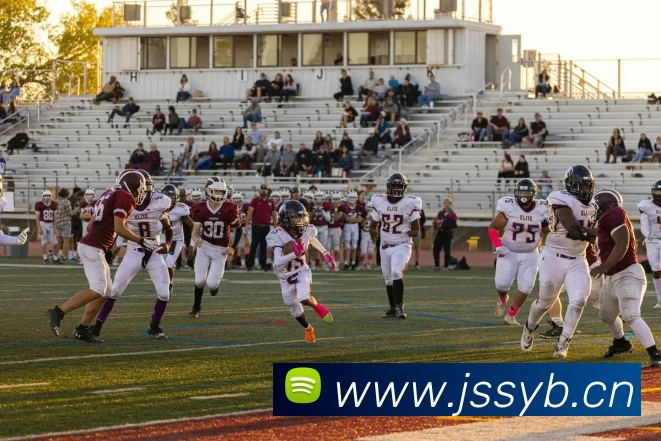 leyu乐鱼在线直播服务体系