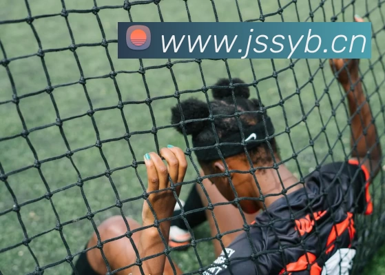 多媒体互动体验